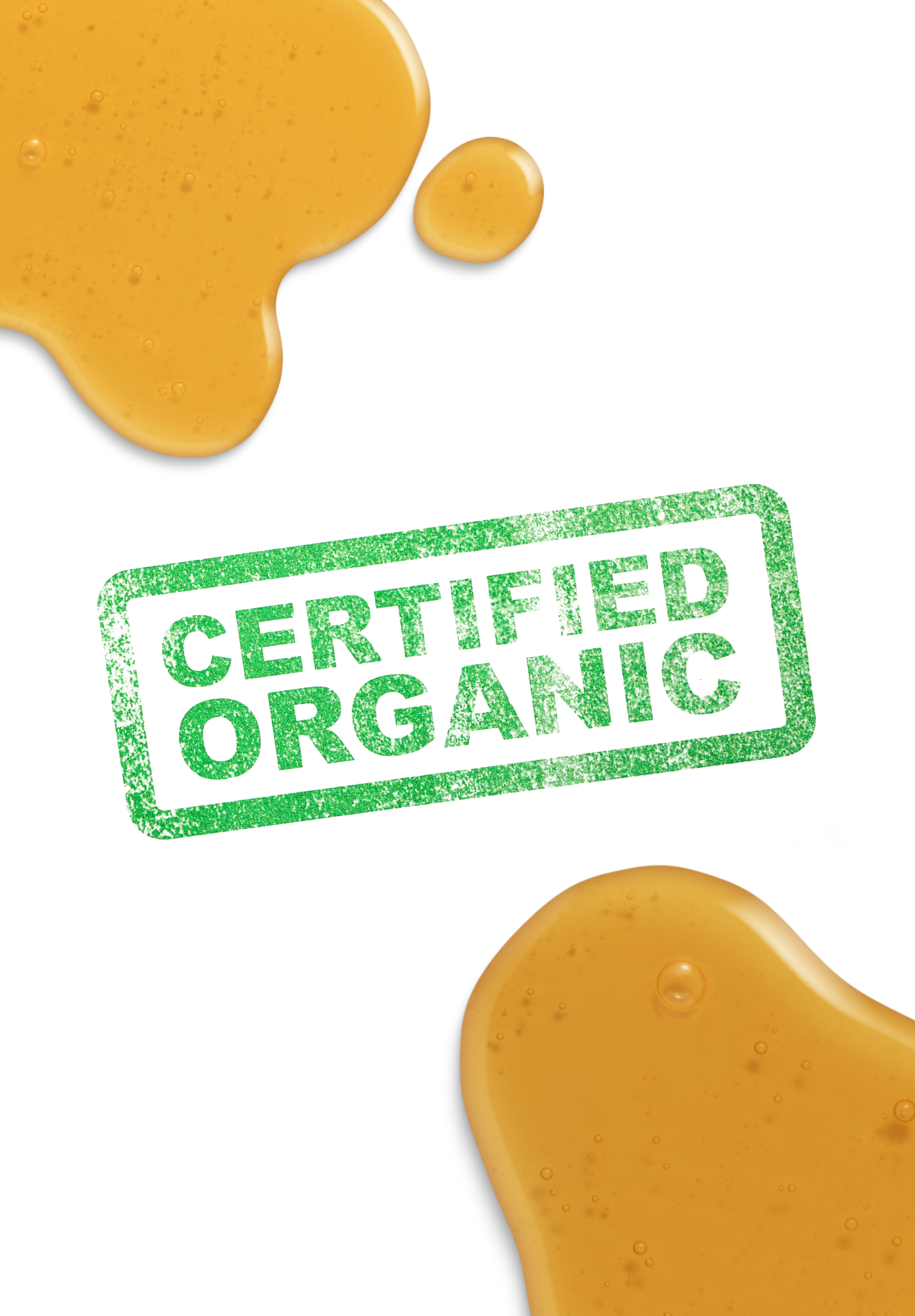 Why Certifying Organic Honey Is a Challenge: A Look Inside Dr. Bee’s Commitment to Transparency