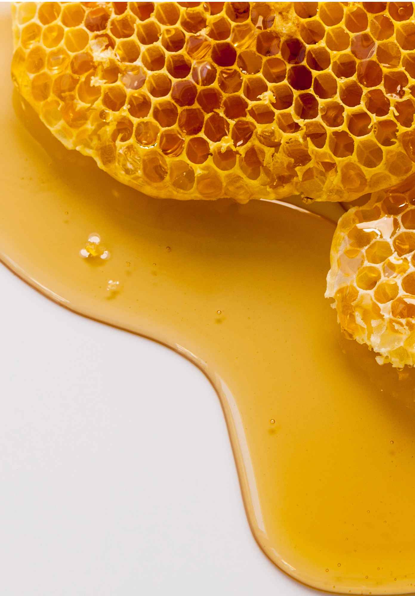 From Hive to Health: How Pure Honey Can Help You Thrive in Winter
