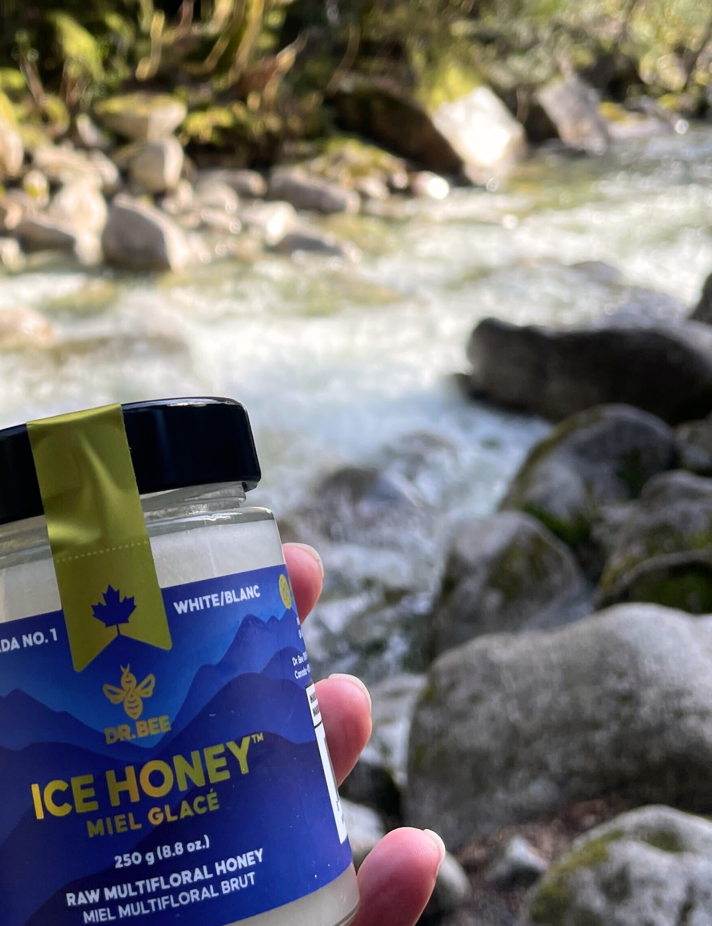 The Discovery the Purest, Rawest Honey: The Story of Ice Honey