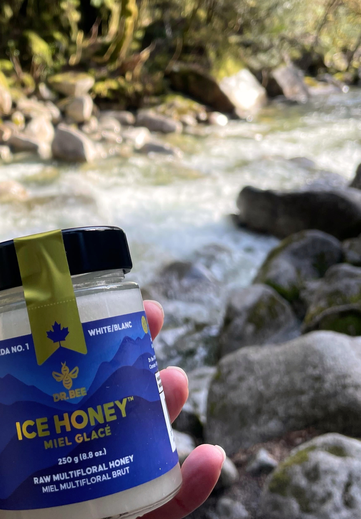 The Discovery the Purest, Rawest Honey: The Story of Ice Honey