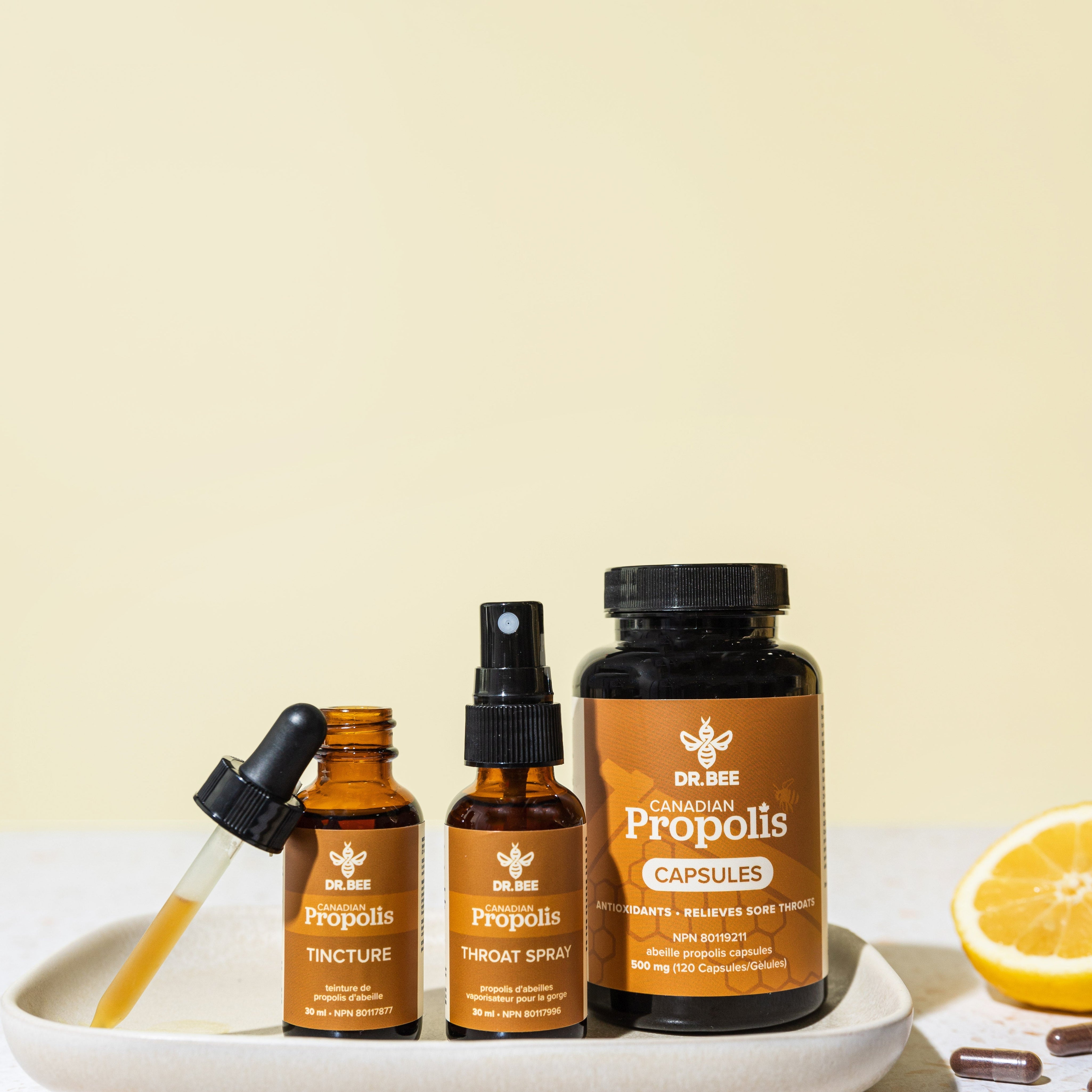 Building a Daily Wellness Routine with Dr. Bee