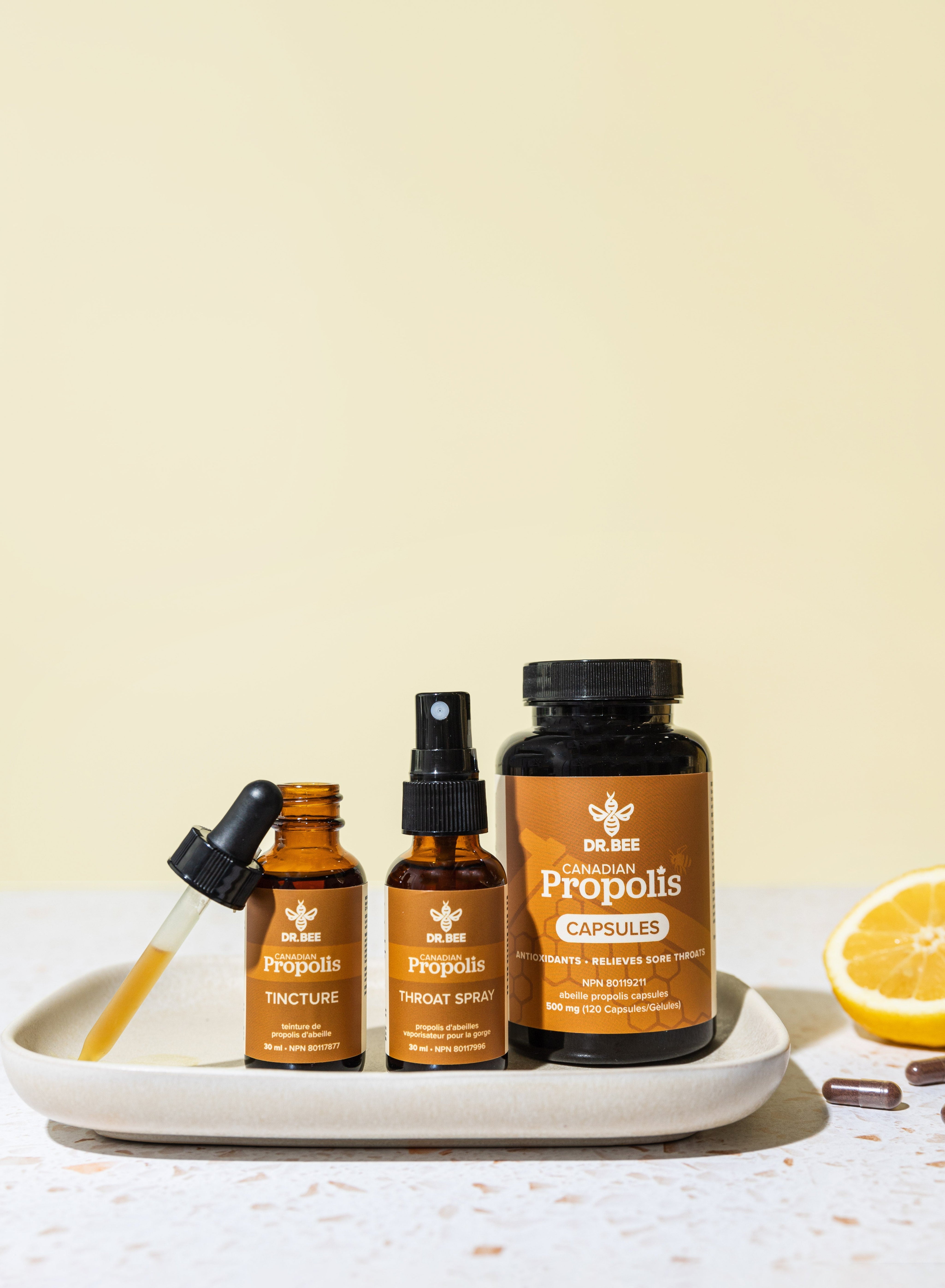 Building a Daily Wellness Routine with Dr. Bee