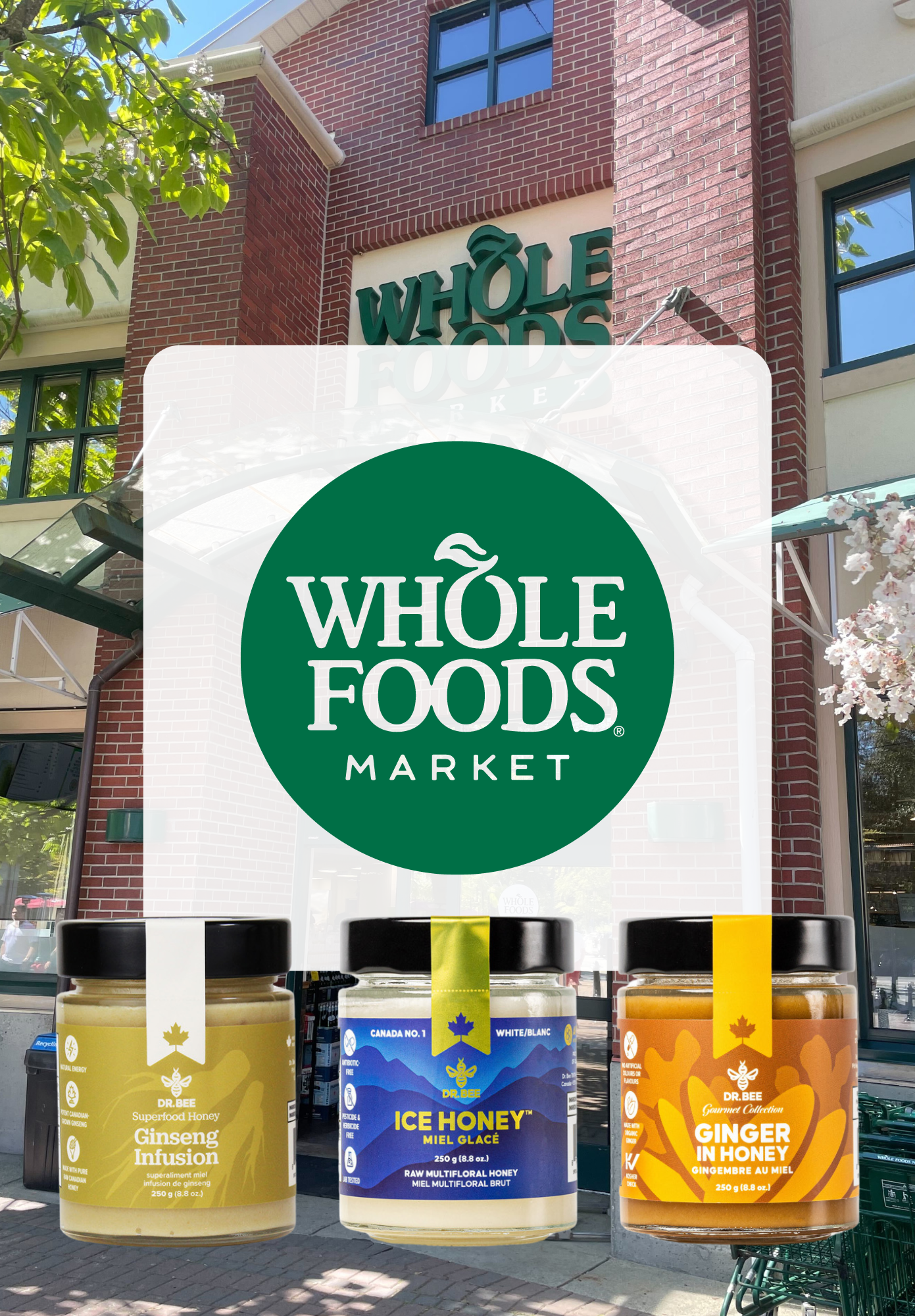 Exciting News: Dr. Bee Products Are Now Available at Whole Foods Market!