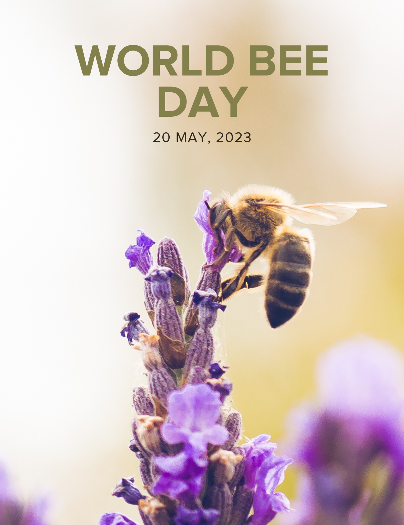It’s World Bee Day, Let's Save the Bees! 💚🐝🌍