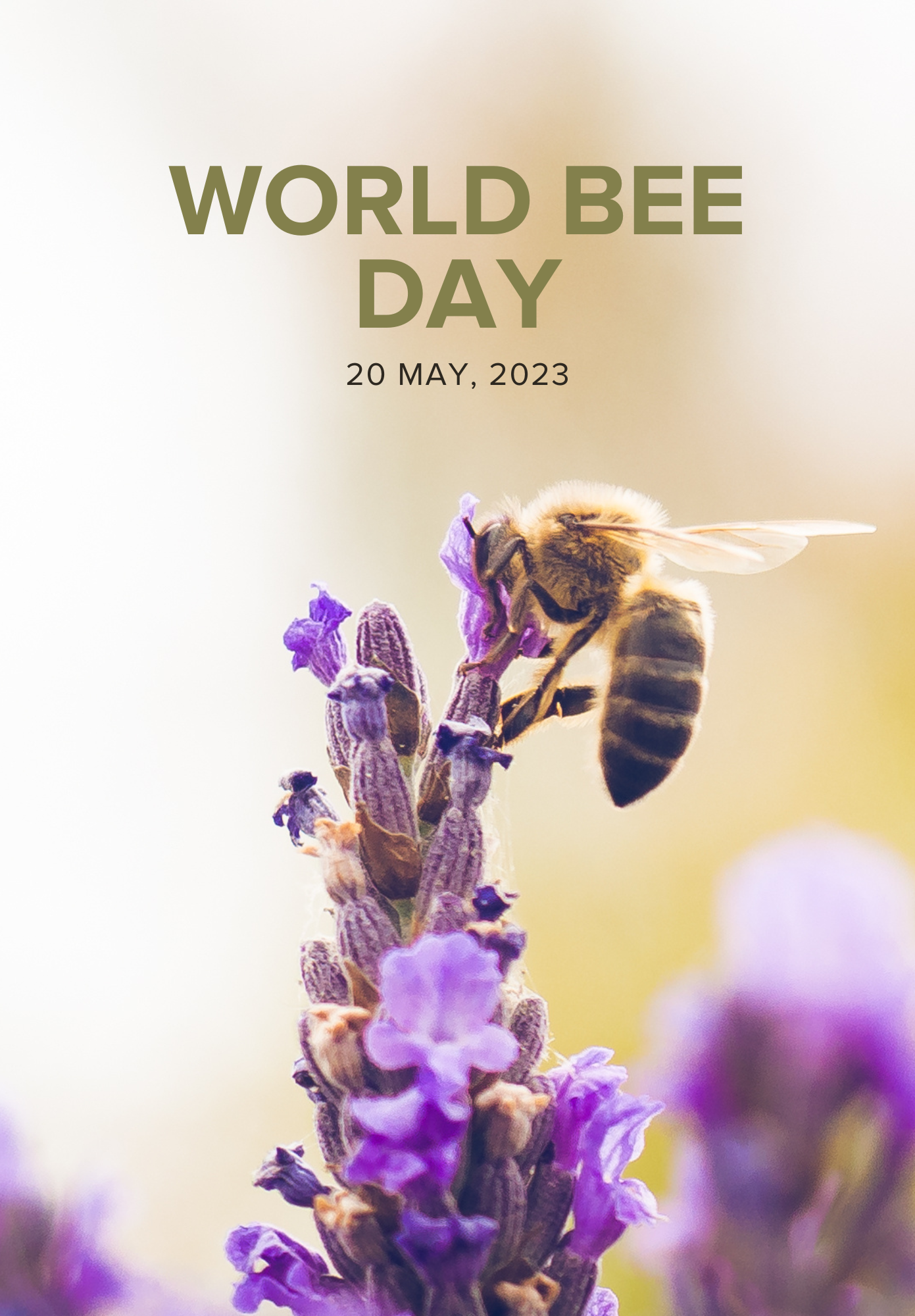 It’s World Bee Day, Let's Save the Bees! 💚🐝🌍