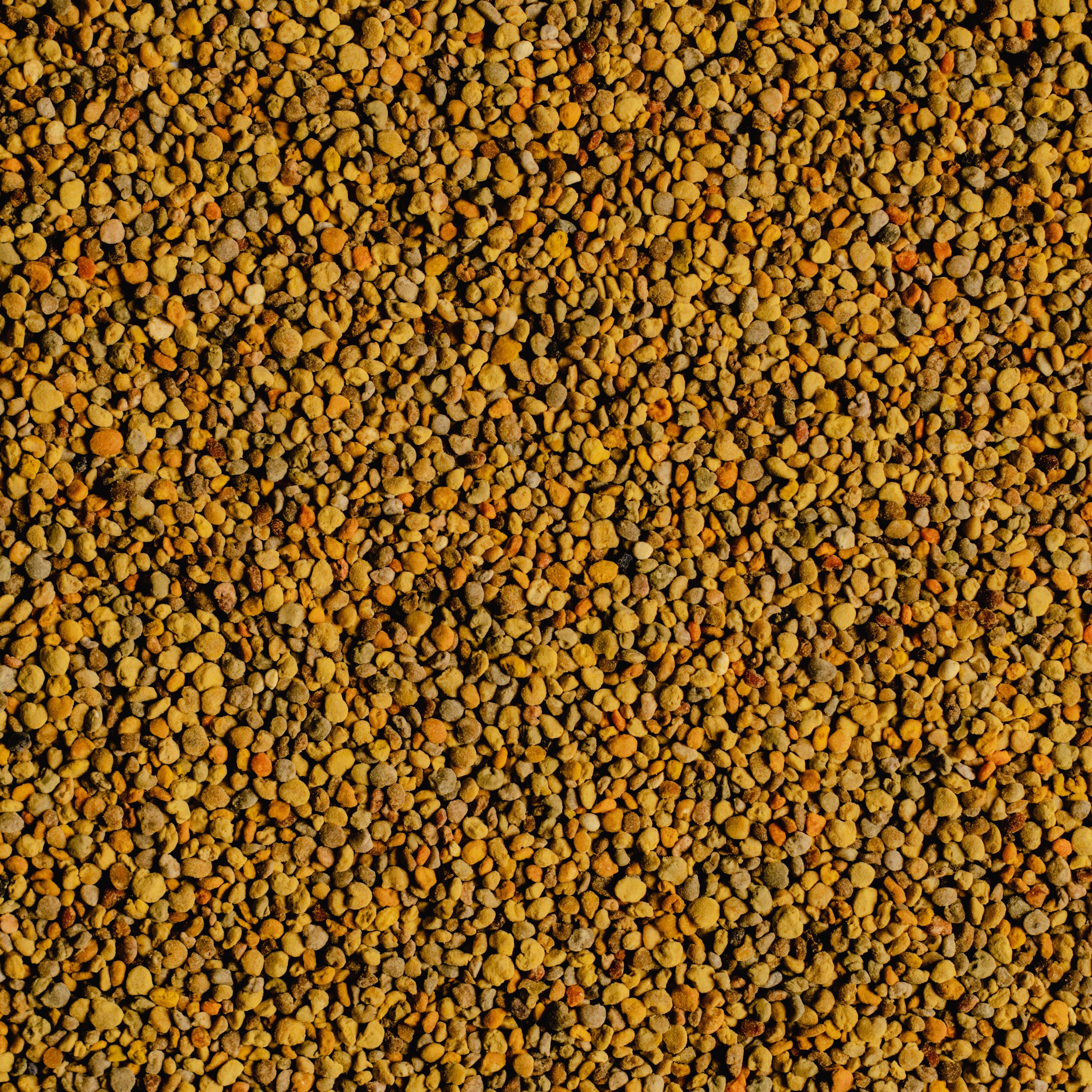 Bee Pollen