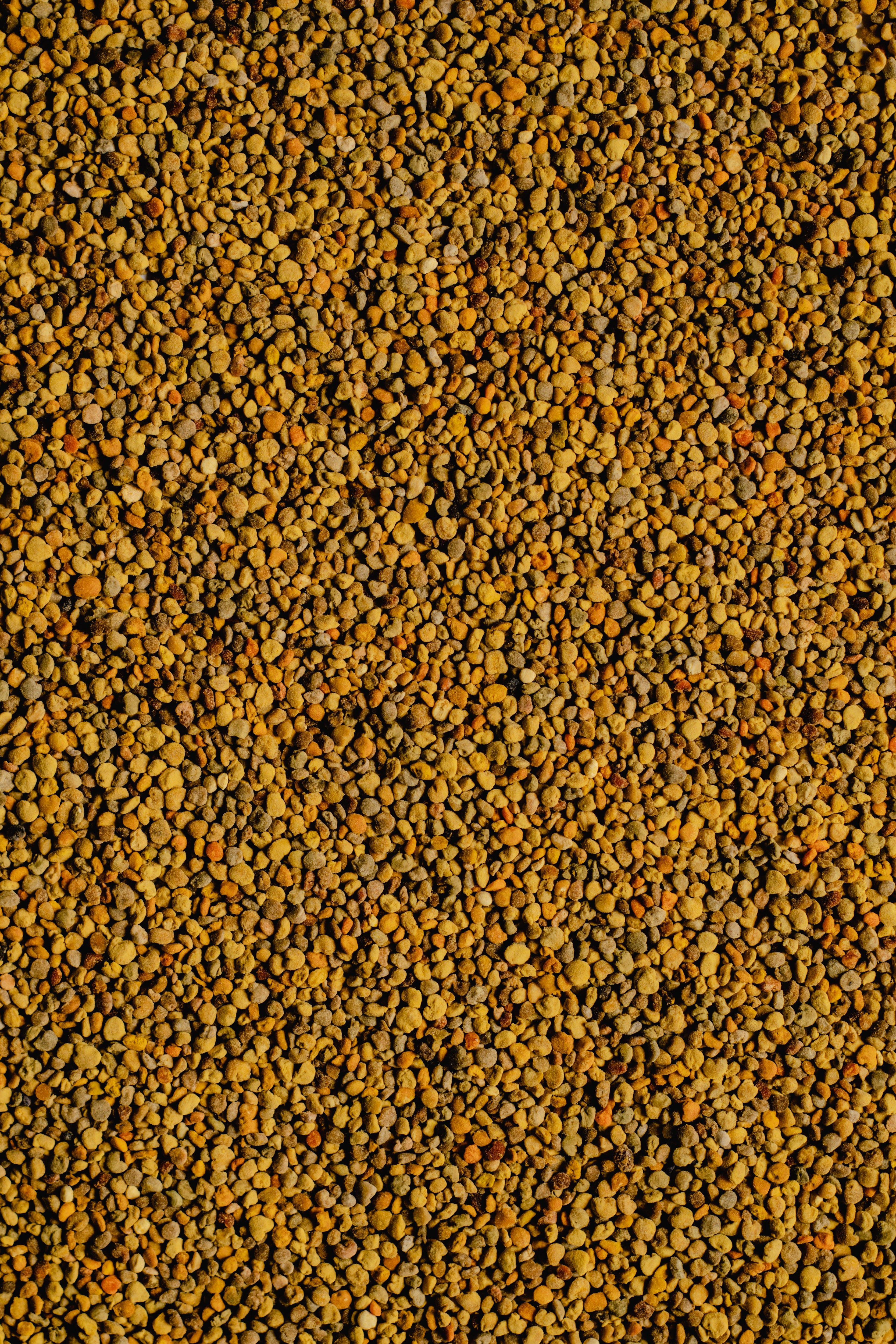 Bee Pollen
