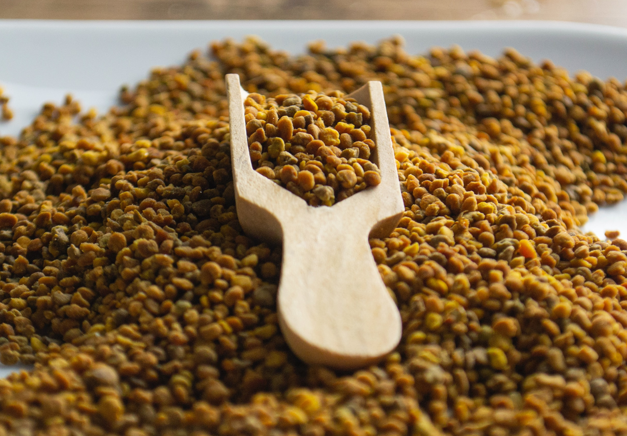 Bee_Pollen.png
