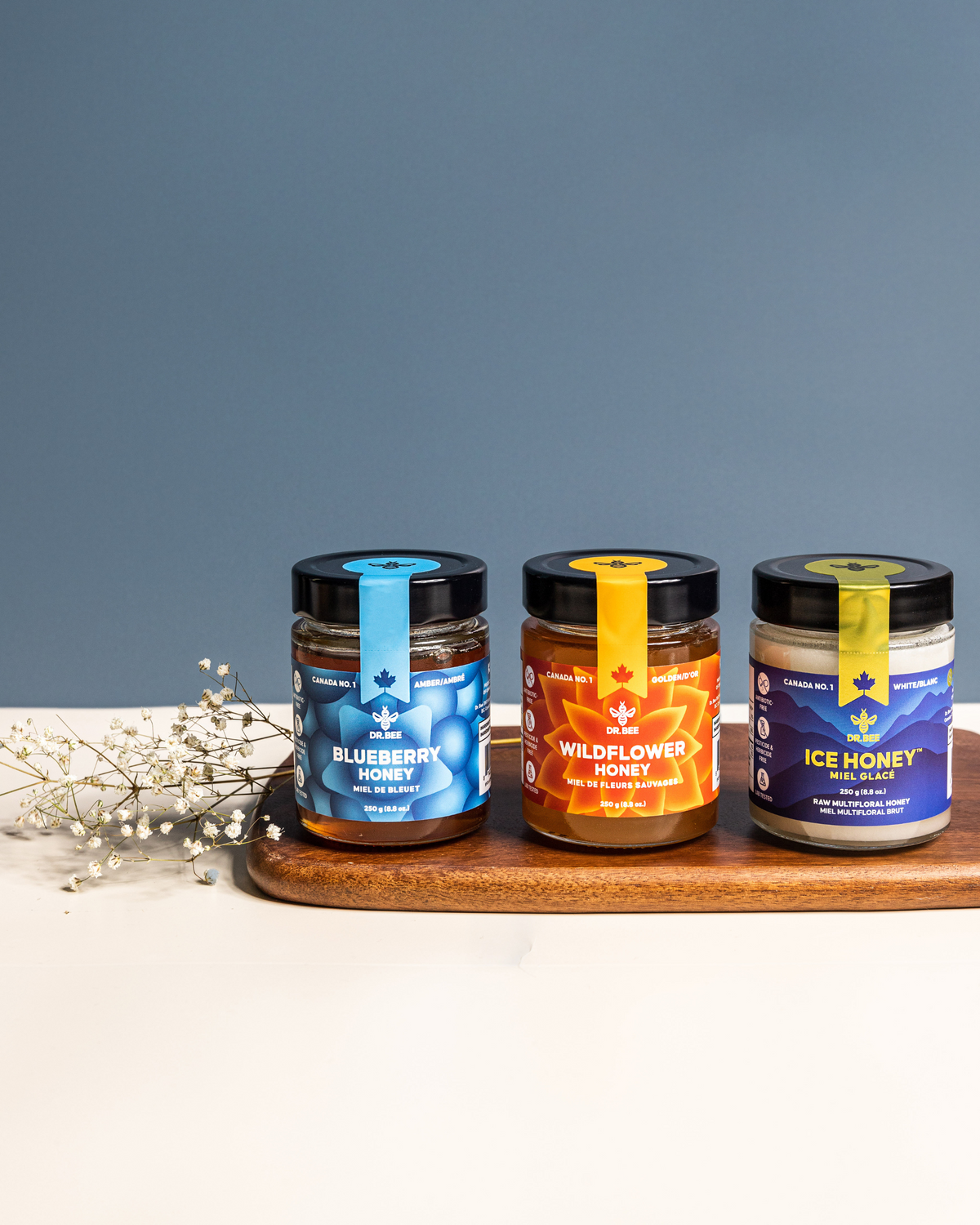 Dr. Bee | Canadian Pure Honey, Royal Jelly, Bee Propolis & More