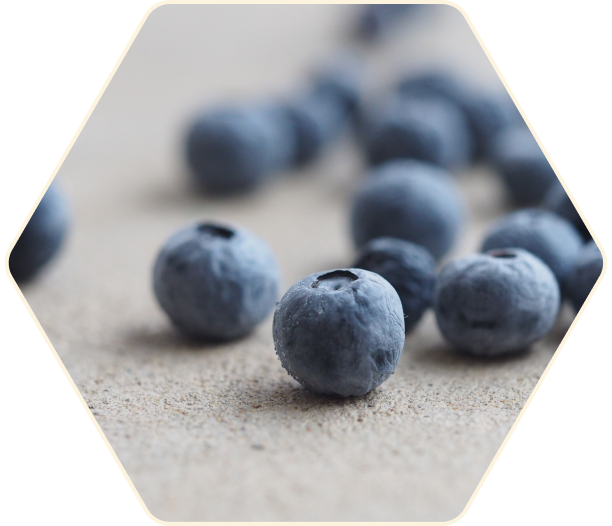 Closeup of blueberries on a counter top. Only the closes blueberries are in focus.