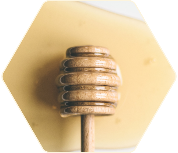 Closeup of wooden honey dipper emerging from honey.