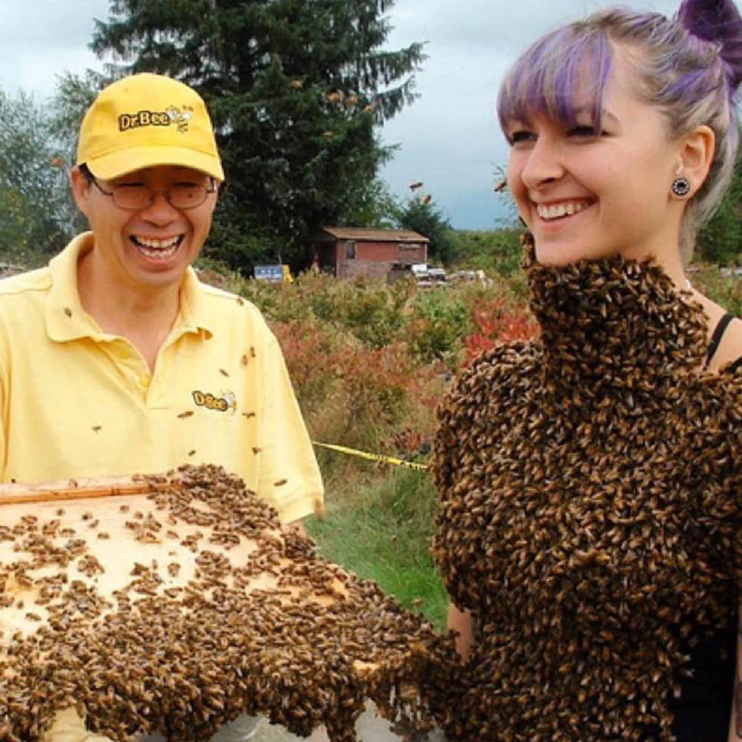 Bees, Blueberries and Maple Ridge Burrards