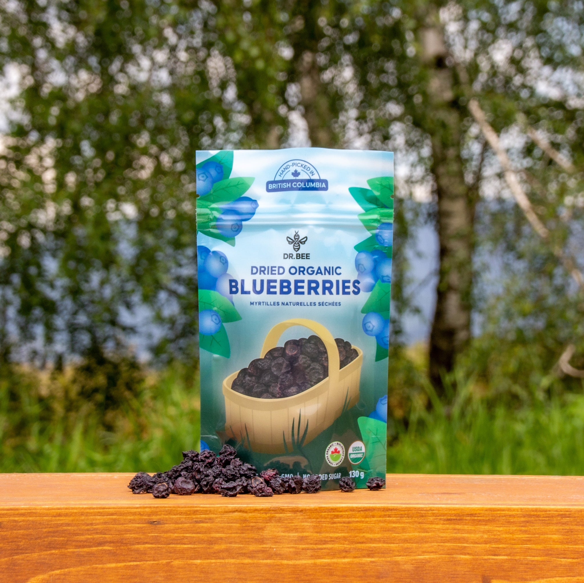 Dried Organic Blueberries
